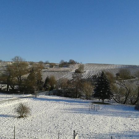 Weingut Hans Bausch Hattenheim Εξωτερικό φωτογραφία