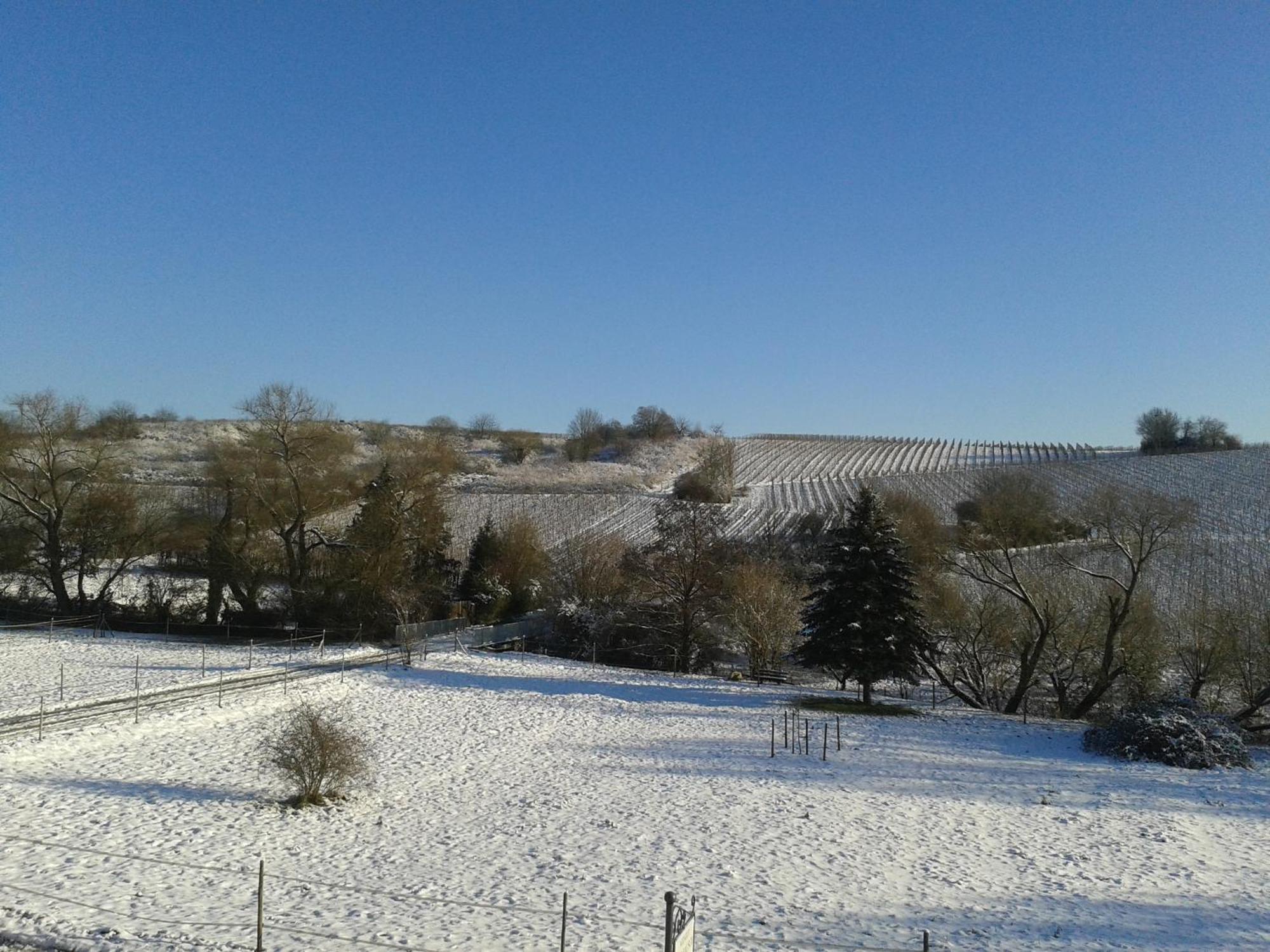 Weingut Hans Bausch Hattenheim Εξωτερικό φωτογραφία