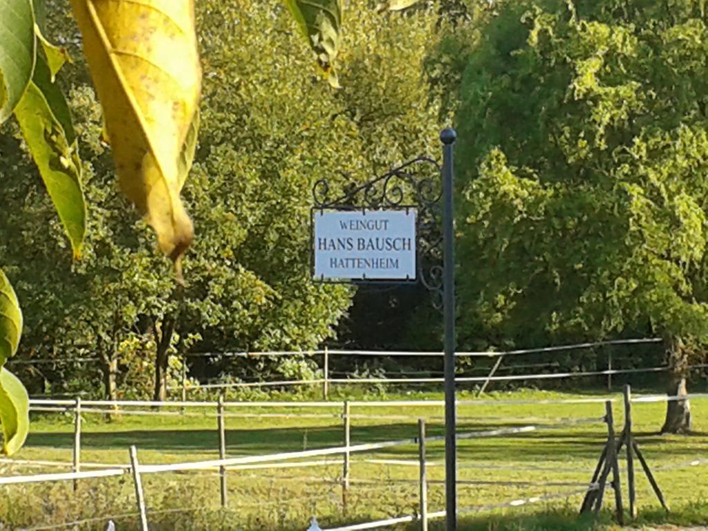 Weingut Hans Bausch Hattenheim Εξωτερικό φωτογραφία
