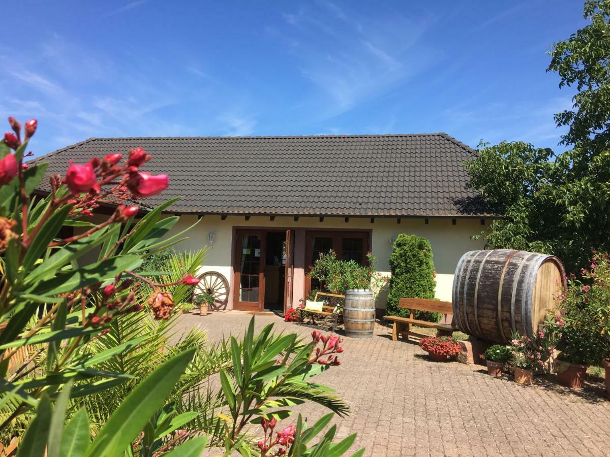 Weingut Hans Bausch Hattenheim Εξωτερικό φωτογραφία